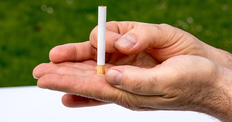Madineo Conseil : organiser ses arbitrages pour mieux grandir
